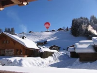 Chalet Jonquille 