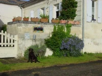 La Malouiniere 