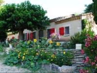 Un petit paradis niche au coeur des Alpilles 