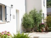 Casa Cosma 