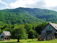 Les chalets de la foret dIssaux 