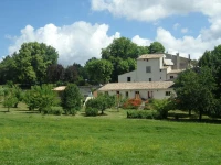 Les Anes de Forcalquier 