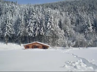 Les Chamois 