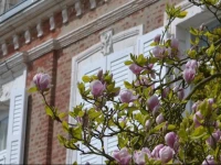 Le Manoir de Bonningues les Ardres 