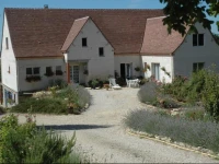 Lavandes et Roses en Quercy 