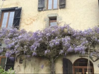 Le Palland 