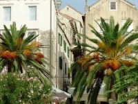 Accommodation Vitaic 3*