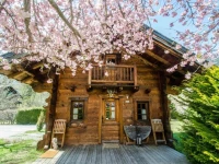 Chalet Sepia 