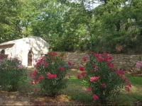 Le Donjon des Combes 
