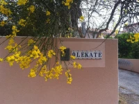 Olekate 