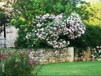 Les Hautes Claires - Chambres dhotes et Centre dArt Contemporain 
