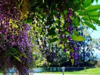 Camping U Casone 