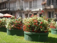 Appartements -2 Rue des Sybilles 