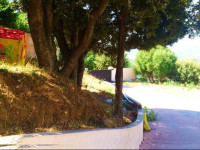 LAlivetu