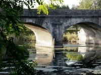 Rive Gauche 