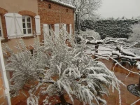 La Villa des Violettes 