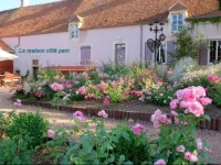 La Chaume des Buis 