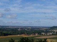 Les Sens des Bois 