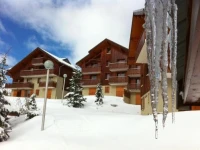 Les Chalets Goelia 3*