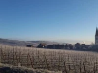 Le gite dAmmerschwihr 