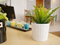 Little Suite - Malo 