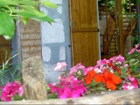 Serenella fontaine Et Coquelicots 