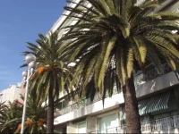 MyNice Vacances - Floride 
