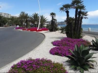 Prince des Iles Theoule Sur Mer 