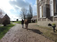 Chambres dHotes de la Bucaille 