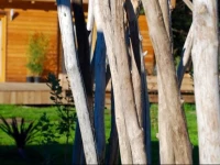 Ecoartlodge 