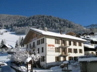 Hotel Viallet 
