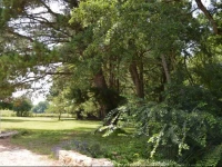 Le Moulin de Moinet 