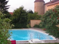 Chateau de la Saone 