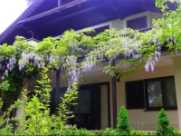 Zajec Guest House 