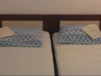 Jadran Guest House 3*