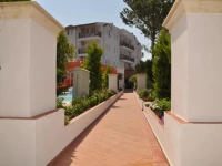 Catty Cats Garden Hotel 