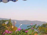 Villa Matijasevic 4*
