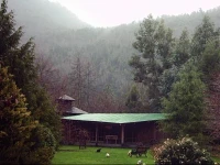 Mavidahue 