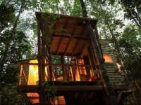 Casita Arbol 