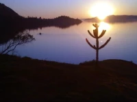 Lago Ranco Parque El Morro 