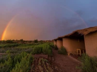 Eco-Lodge El Andinista 
