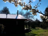 Hospedaje El Castano 
