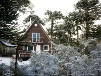 Lodge Conguillio 