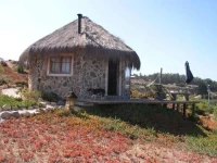 Club El Tebo 