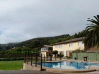 El Bosque de Lipimavida 