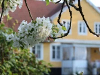 Karlslund 
