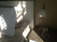 Goholm Bed and Breakfast 