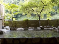 Kawayu Onsen Fujiya 