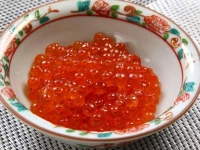 Kamihoroso 3*