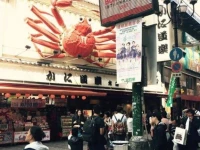 Dotonbori Room 